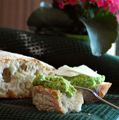 Весенний паштет из зелёного горошка с рикоттой и базиликом