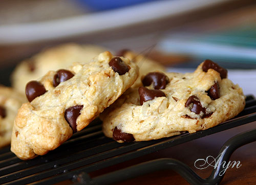 Бисквитное печенье с шоколадными чипсами