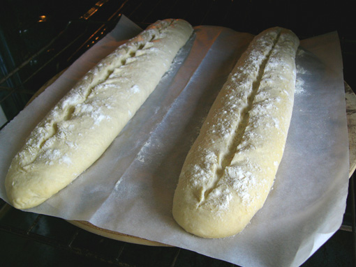 Флейты Ганашо