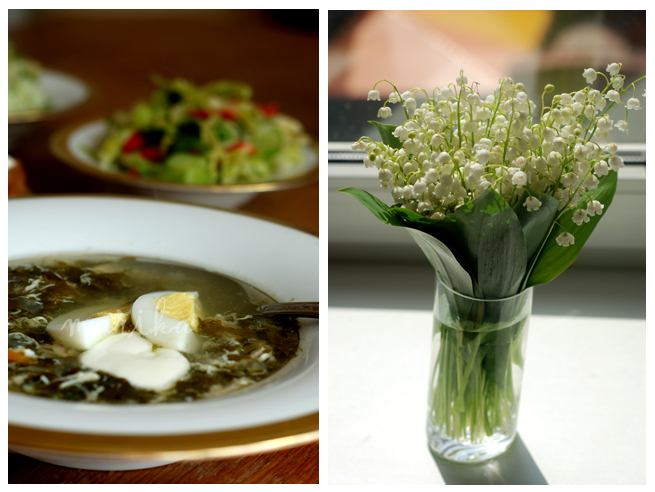 Зеленый борщ