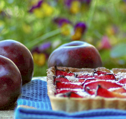Сливовый тарт с ореховым кремом