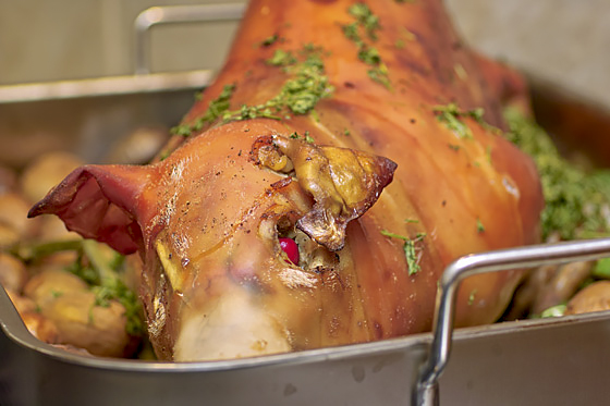 Молочный поросенок