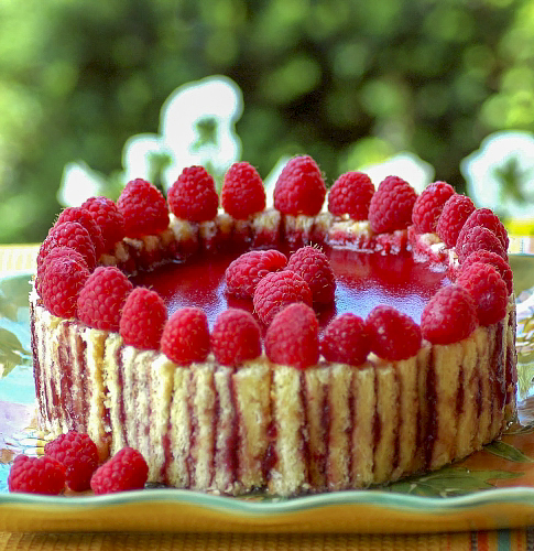 Малиновая шарлотт