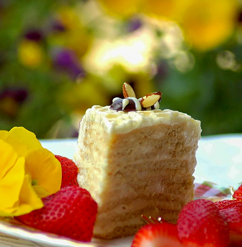 Медовый торт